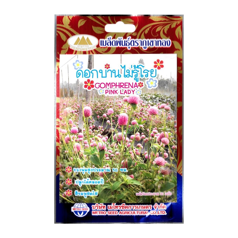 เมล็ดดอกบานไม่รู้โรย พิงค์ เลดี้ GOMPHRENA ดอกสีชมพู MT/FW-21 ปริมาณ90เมล็ด ตราภูเขาทอง เมล็ดพันธุ์