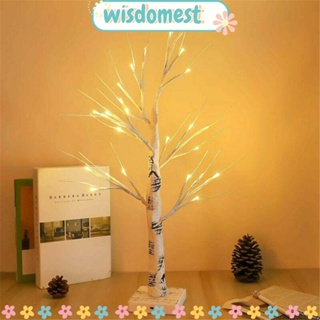 WISDOMEST โคมไฟ LED รูปไข่อีสเตอร์ สีขาว สําหรับแขวนตกแต่งต้นเบิร์ช