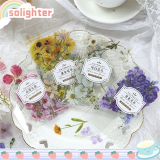 Solighter สติกเกอร์ฉลาก ลายดอกไม้ ใบไม้ สไตล์วินเทจ DIY สําหรับตกแต่งสมุดไดอารี่ สมุดบันทึก วารสาร 40 ชิ้น