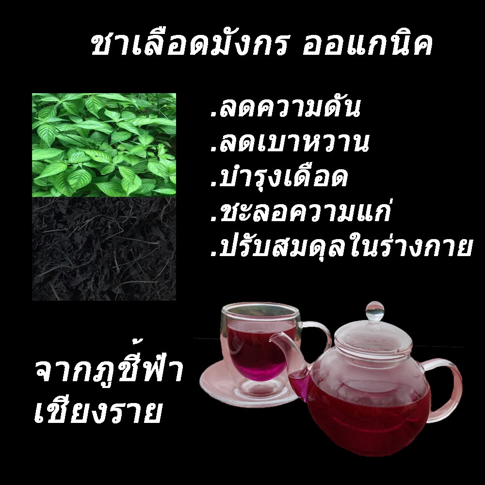 ชาเลือดมังกร บ้านฟ้าไทยงาม จากยอดภูชีฟ้า จ.เชียงราย (เกรดส่งออก)