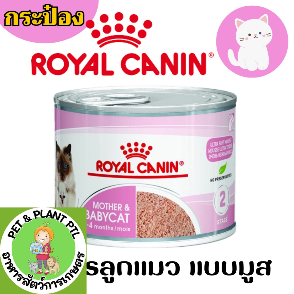[แมวกระป๋อง] Royal Canin โรยัลคานิน Babycat & Mother อาหารแมวเปียก ชนิดกระป๋อง สูตรแม่ และ ลูกแมว
