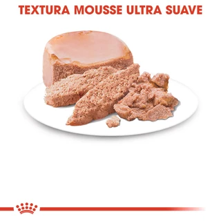 Royal Canin Mother&Baby Cat [6 กระป๋อง] อาหารเปียกลูกแมวและแม่แมว เนื้อมูสนิ่ม ทานง่ายเสริมภูมิคุ้มกัน