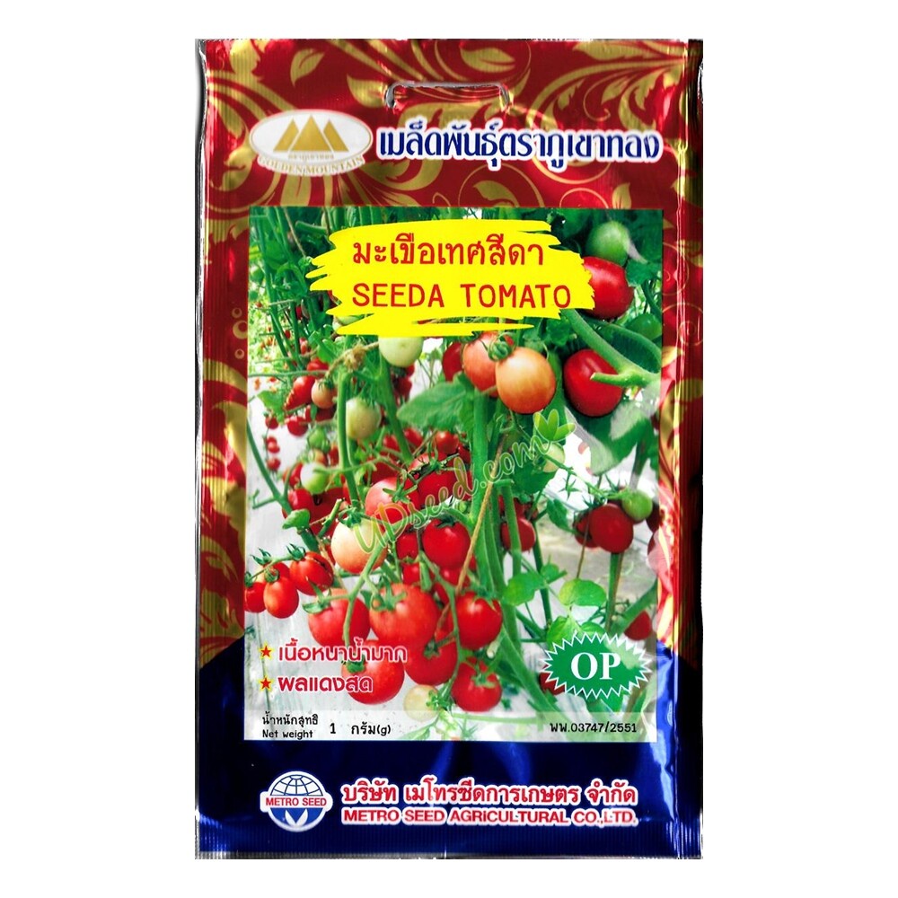 เมล็ดมะเขือเทศสีดา SEEDA TOMATO MT/OP-095 ตราภูเขาทอง เมล็ดพันธุ์มะเขือเทศสีดา มะเขือเทศสีดา เมล็ด