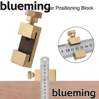 Blueming2 ไม้บรรทัดวัดตําแหน่ง ขนาด 0-300 มม. สําหรับช่างไม้