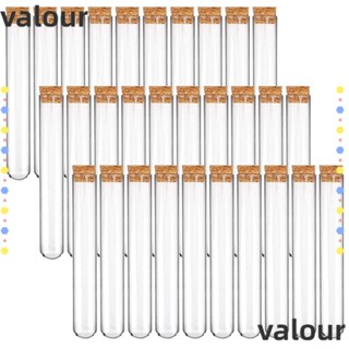 Valour หลอดทดลองวิทยาศาสตร์ พลาสติกใส 15×100 มม. 13 มล. พร้อมจุกไม้คอร์ก 30 ชิ้น