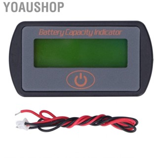 Yoaushop Charge Discharge  Meter  for Electromobile