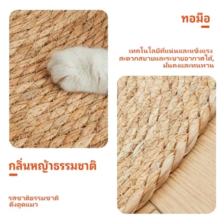 SKISOPGO พร้อมส่ง 3 in 1 วงกลมพรมลับเล็บแมว แผ่นลับเล็บแมว กันข่วน ของเล่นแมว ที่นอนแมว