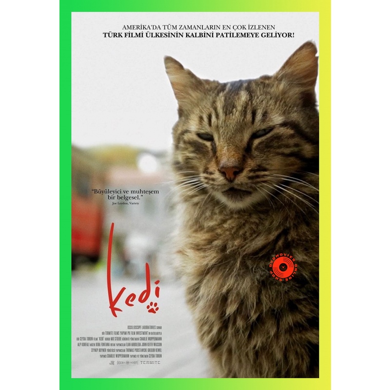 NEW DVD Kedi เมืองแมว (2016) สารคดีแมวเมืองอิสตัลบูล ทาสแมวต้องไม่พลาด!! (เสียง ตุรกี | ซับ ไทย) DVD NEW Movie