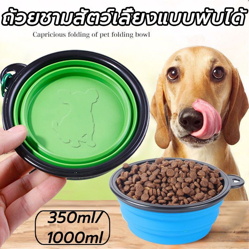 ชามอาหารซิลิโคน ชามพับได้ ชามซิลิโคน ใส่น้ำและอาหารสัตว์เลี้ยง ชามสัตว์เลี้ยง