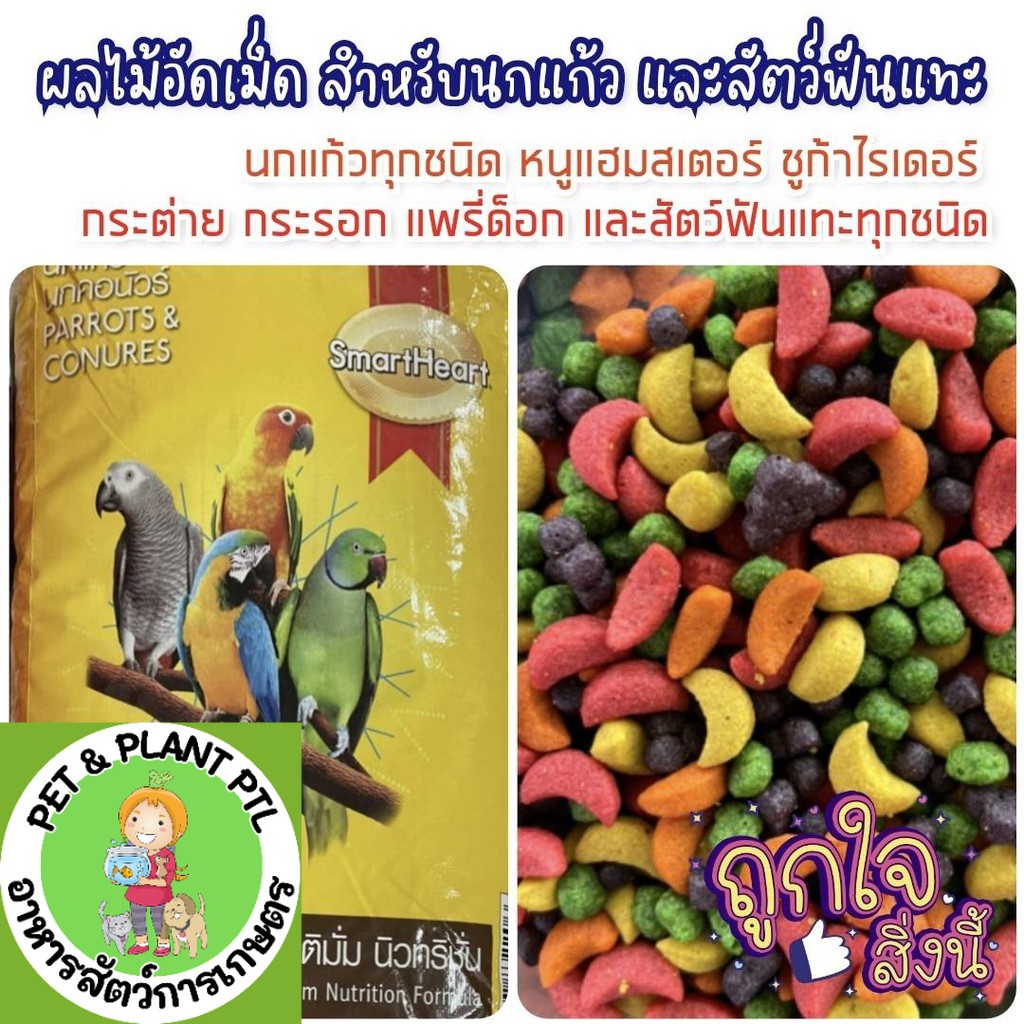 [แบ่งบรรจุ] ผลไม้อัดเม็ด สำหรับนกแก้ว และสัตว์ฟันแทะทุกชนิด อาหารนก ผลไม้รวม 500g