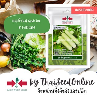 VP3 ซฟ เมล็ดพันธุ์ แตงร้านขาว นวลพรรณ 15เมล็ด ตราศรแดง Long White Cucumber