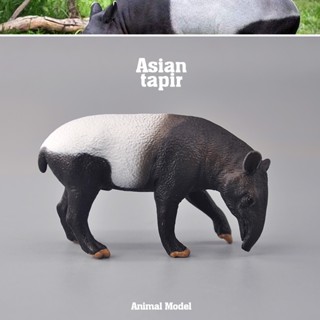 โมเดลสัตว์จําลอง Malay Tapir ของเล่นสําหรับเด็กผู้ชาย