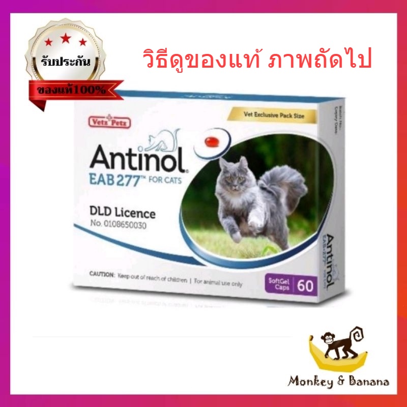 Antinol แมว อาหารเสริม ลดอักเสบ บำรุงข้อ แบบยกกล่องและแบ่งขาย exp 05/2025