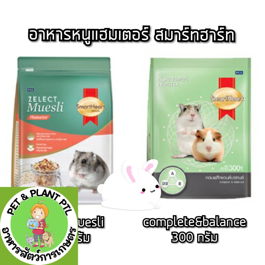 [ แฮมสเตอร์ ] Smartheart อาหารหนู แฮมเตอร์ แฮมสเตอร์ hamster 300g และมูสลี่ 500g