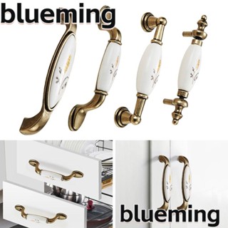 Blueming2 ลูกบิดประตู ลิ้นชัก เฟอร์นิเจอร์ โลหะผสมสังกะสี