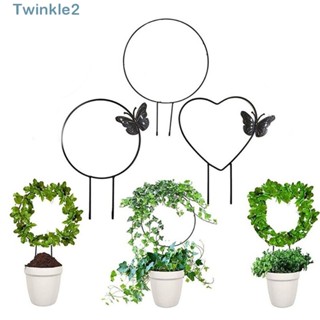 Twinkle โครงไม้เลื้อย โลหะ กันสนิม สําหรับปลูกต้นไม้ในร่ม และสวน