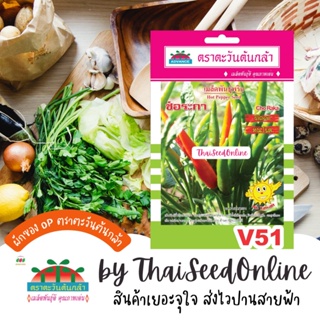 ADV ซฟ เมล็ดพันธุ์ พริกช่อ ช่อระกา ตราตะวันต้นกล้า V51