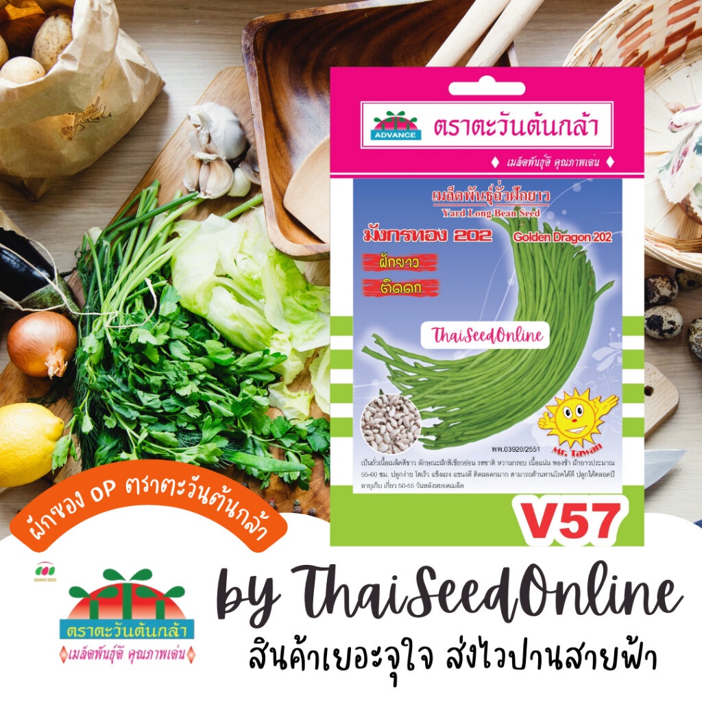 ADVOP ซฟ เมล็ดพันธุ์มังกรทอง202 ตราตะวันต้นกล้า V57
