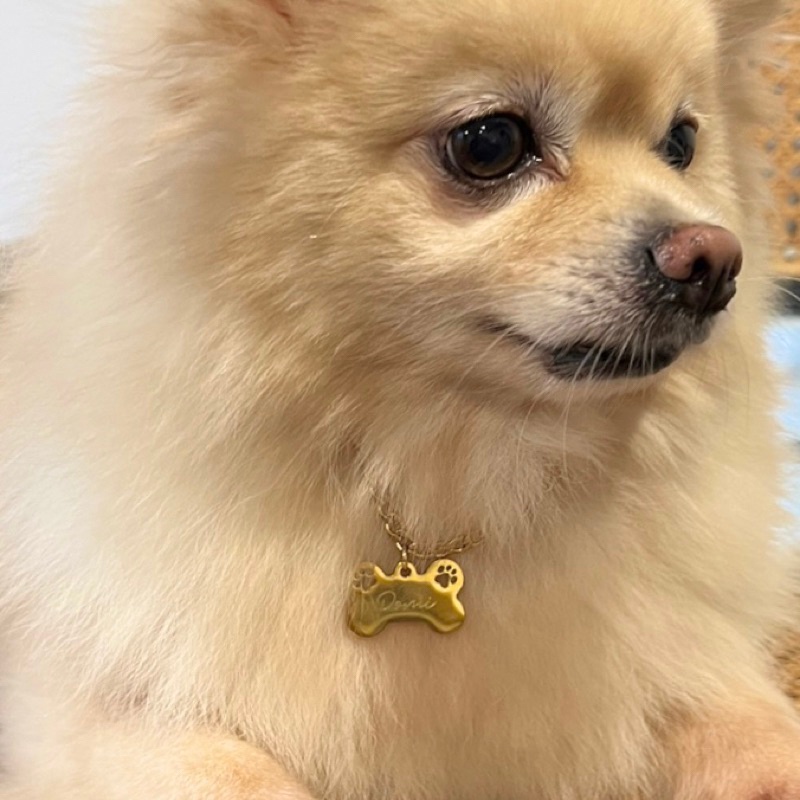 PAW BONE NECKLACE_GOLD – สร้อยคอสัตว์เลี้ยงรูป BONE พร้อมอุ้งเท้า น่ารักและมีสไตล์