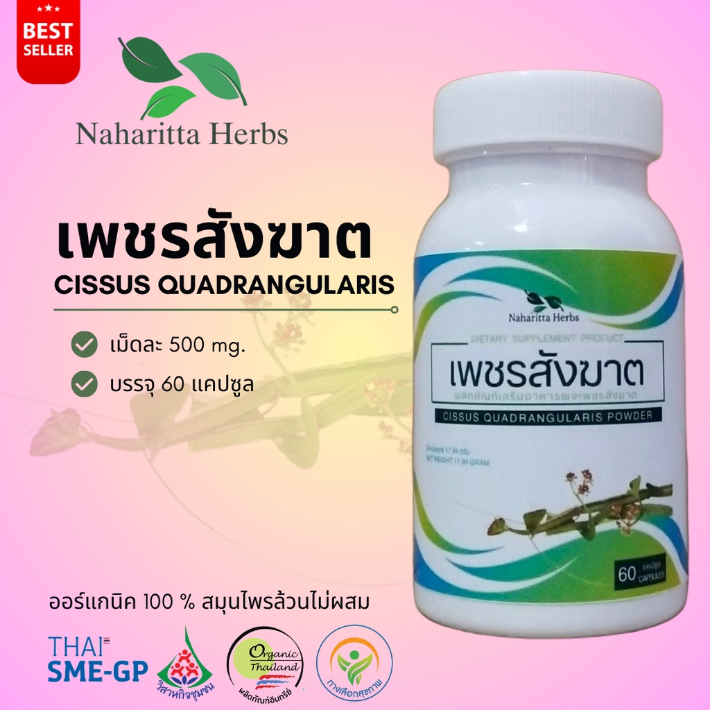 เพชรสังฆาต Cissus quadrangularis 100% 60cap. เลือกขนาดได้ในตัวเลือก