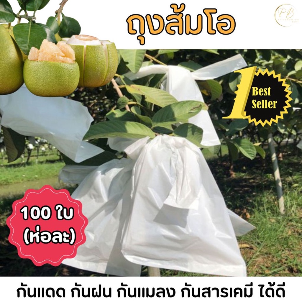 ถุงห่อผลไม้กันแมลง กัน UV มีรูระบายน้ำ ส่งไว Fruit Wrapping Bags สำหรับห่อส้มโอ มะม่วง ฝรั่ง 9x18 ซม. แพ็คละ 100 ใบ