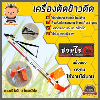 เครื่องตัดข้าวดีด มีแบบ มอเตอร์ใหญ่ มอเตอร์จัมโบ้ มอเตอร์เล็ก ตัดข้าวเด้ง เครื่องตัดข้าวดีด ตัดข้าวดีด ทนทาน