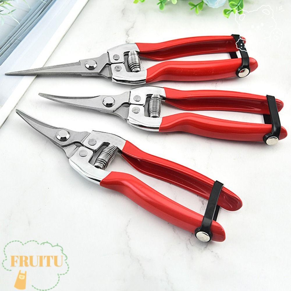 Fruitu 1 ชิ้นต้นไม้ตัดแต่งกิ่งเฉือน, มือ Pruner ทําสวนสวนกรรไกร, ทนทานตรง Florist กรรไกรเครื่องมือ Leaf Trimmer Micro-Tip ตัดแต่งกิ่ง Snips