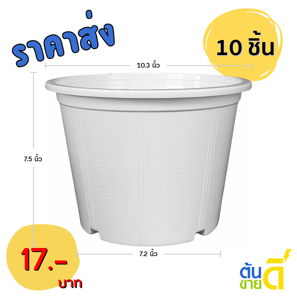 กระถาง กระถางต้นไม้ กระถางขาว เบอร์ 10 นิ้ว สีขาว 10 ใบ ชิ้น ยกมัด