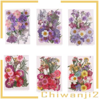 [Chiwanji2] ดอกไม้แห้ง หลายดอก สําหรับงานฝีมือ DIY 10 ชิ้น