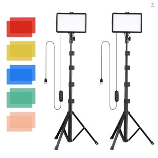 USB LED Video Lights Kit with Light Stands - Perfect for Video Conference Lighting and Live Streaming