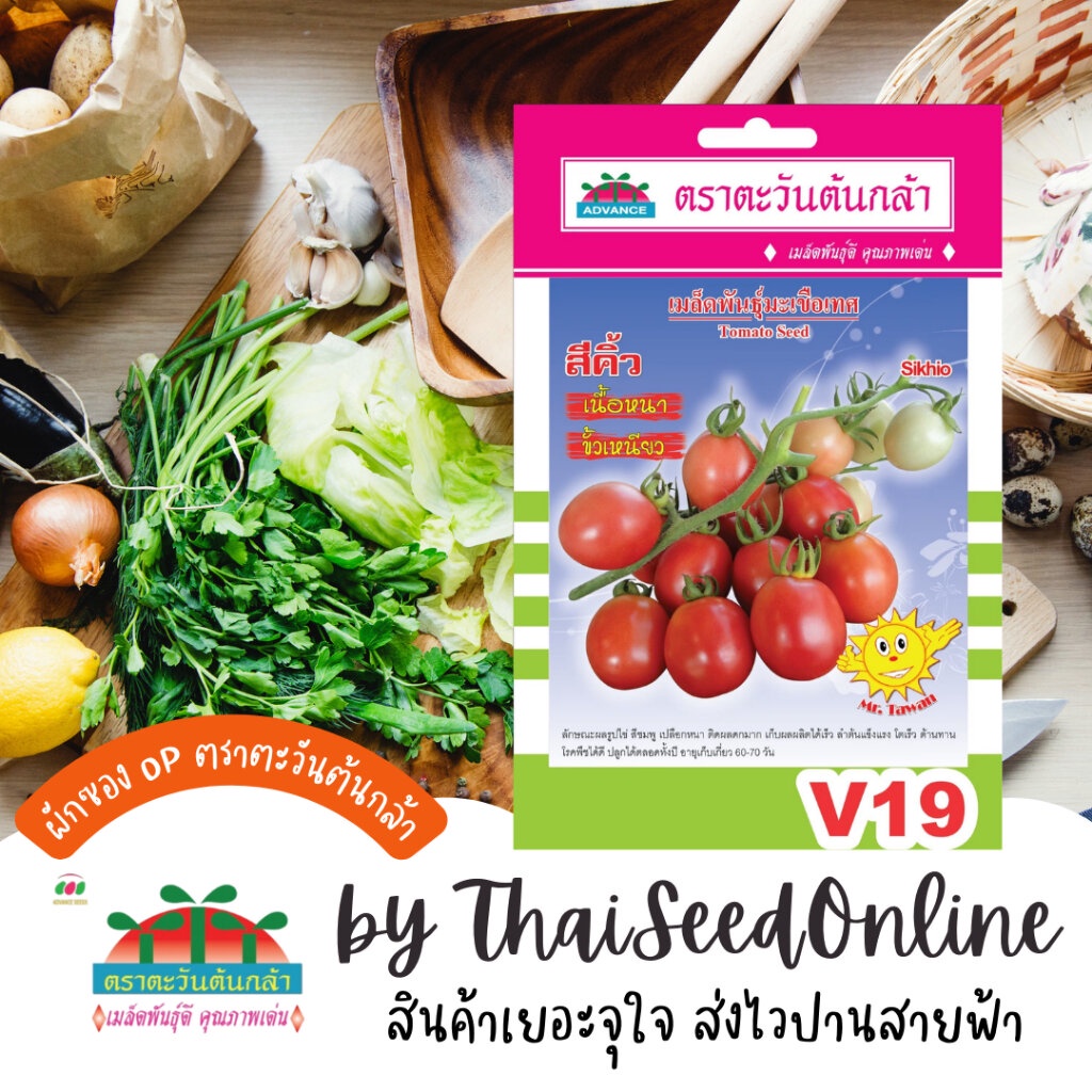 Advance Seeds(ตราตะวันต้นกล้า) ADVOP ซฟ เมล็ดพันธุ์ มะเขือเทศสีดา สีคิ้ว ตราตะวันต้นกล้า V19