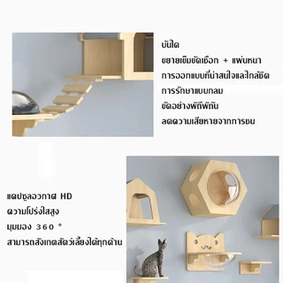  คอนโดแมวติดผนัง คอนโดแมวติดผนัง กล่องแมวติดผนัง โครงปีนแมวแบบแขวนประตู ไม่มีเสี้ยน ไม่มีกลิ่น