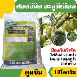 [2แบบ] ฟอสอีทิล ฟอสอีทิล-อะลูมิเนียม (fosetyl-aluminium) สูตร 80% WP ขนาด 1 กก สารกำจัดโรคพืช โรคเน่า