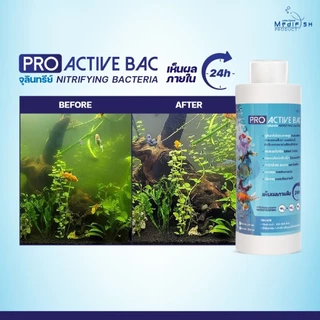 จุลินทรีย์ Nitrifying Bacteria, PRO ACTIVE BAC ช่วยให้น้ำใสสะอาด ย่อยสลายของเสีย ลดเชื้อโรคในน้ำ ช่วยให้ปลาสุขภาพดี