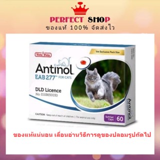 *ลอดใหม่* Antinol แมว อาหารเสริม ลดอักเสบ บำรุงข้อ exp 4/2024