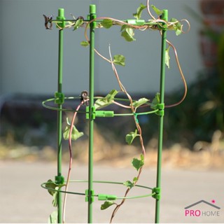 Prohome โครงเถาวัลย์ เสามะเขือเทศ โครงปลูก อุปกรณ์สำหรับพืชไม้เลื้อย 45cm 60cm plant trellis