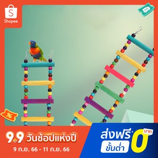 ของเล่นบันไดไม้ธรรมชาติ พร้อมลูกปัด หลากสี สําหรับนกแก้ว