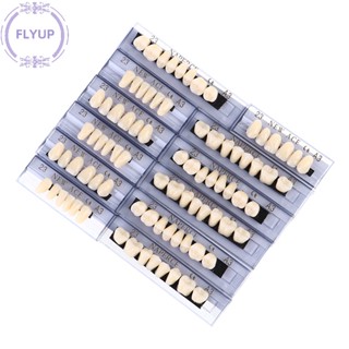 Flyup ชุดฟันปลอมเรซิ่น โพลิเมอร์สังเคราะห์ ขนาด A3 84 ชิ้น