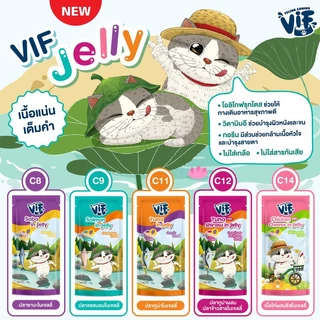 🔥มี Token VIF Felina Canino อาหารเปียกแมววิฟ [ยกโหล 12 ซอง] อาหารแมว ครบสูตร ขนาด 75 กรัม