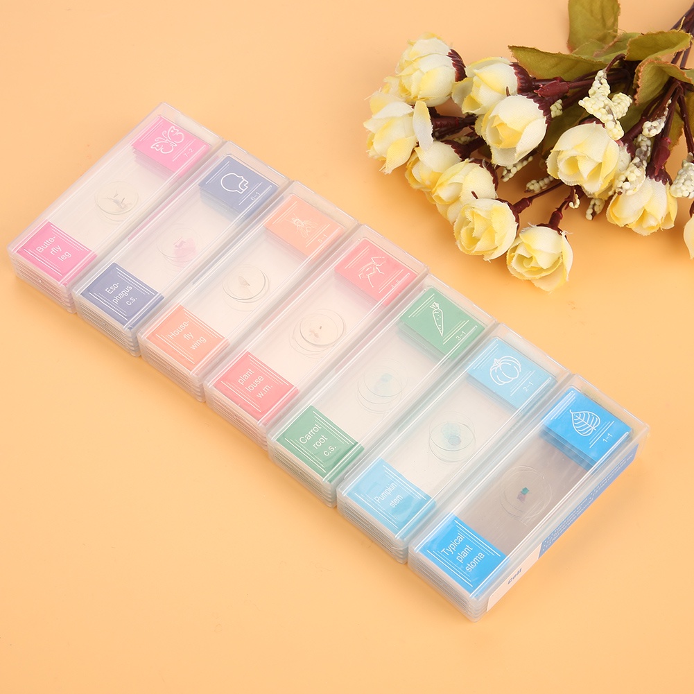 Maxpower 35 ชิ้นชีววิทยาแก้วเตรียมกล้องจุลทรรศน์สไลด์ Lab ตัวอย่างชุด