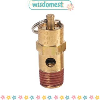 Wisdomest วาล์วคอมเพรสเซอร์แอร์ ทองเหลือง 1/4 นิ้ว 125PSI