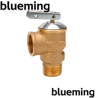 Blueming2 วาล์วลดแรงดัน ทองเหลือง 150Psi ทนทาน 3/4 นิ้ว ท่อ 3/4 นิ้ว