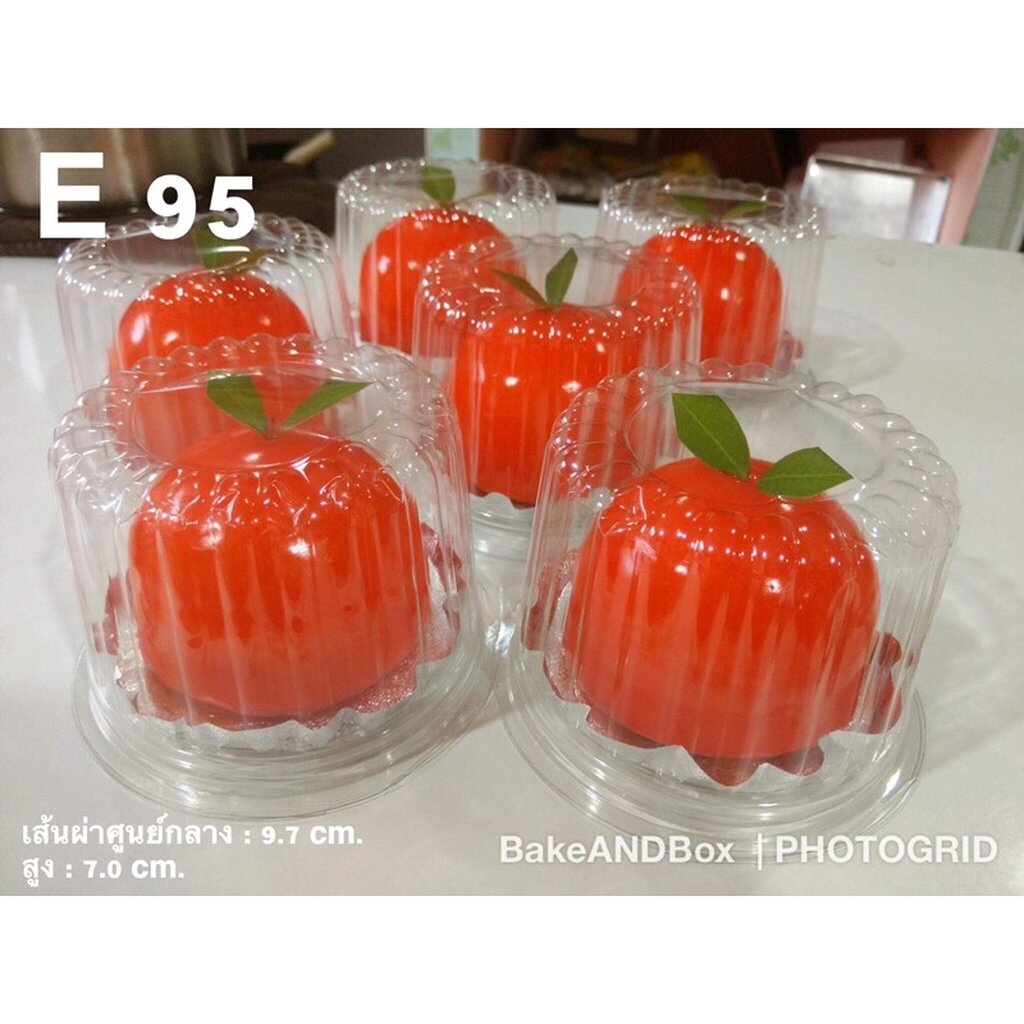 กล่องสลัดลึก E95 ฝาในตัวกดล็อก