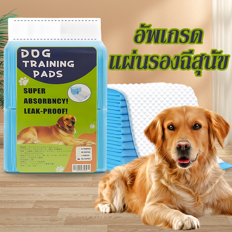 แผ่นรองฉี่สุนัข แผ่นรองฉี่แมว ช่วยฝึกขับถ่าย Super Absorption Gel ระงับกลิ่น ซึมซับไดีดี แผ่นรองฉี่สุนัขและแมว