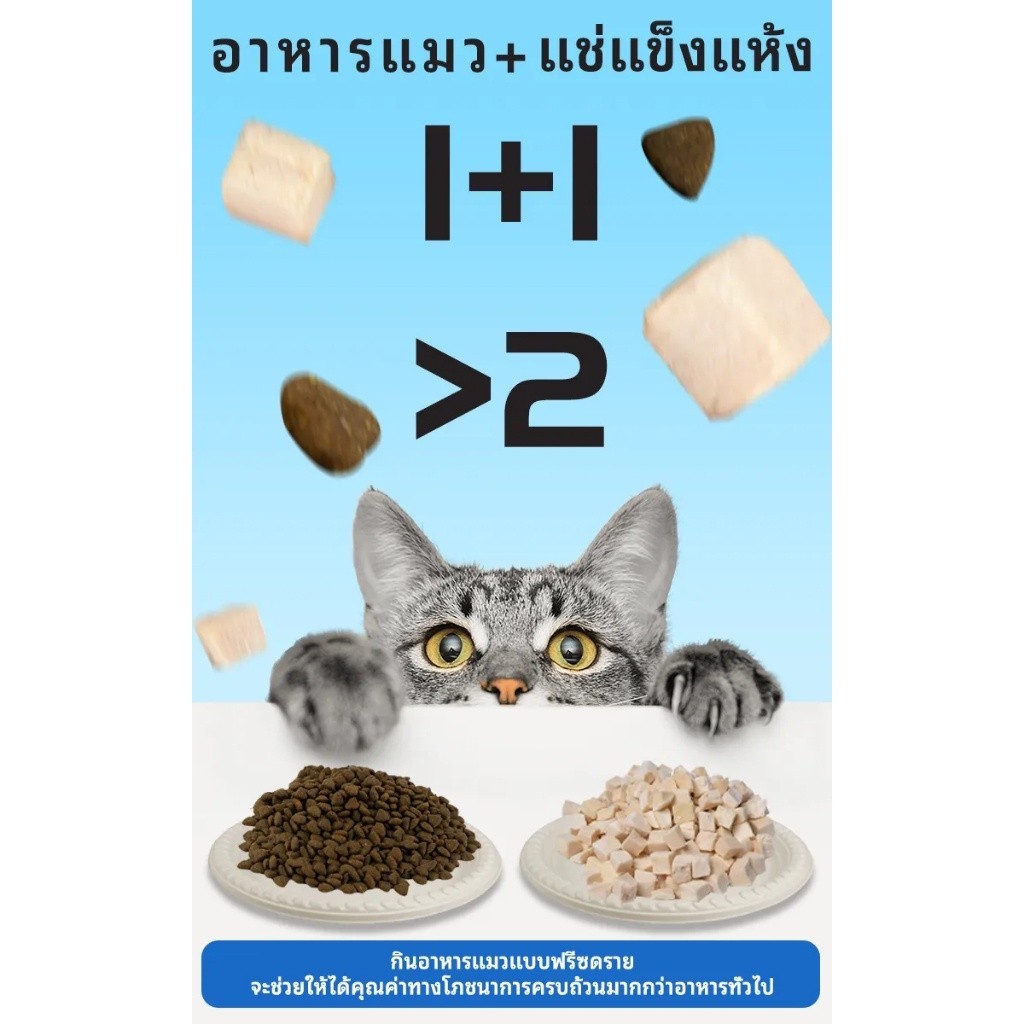 COD ( ยกลัง )รีกาลอส (Regalos) อาหารแมว อาหารเปียกแมว 48 ซอง