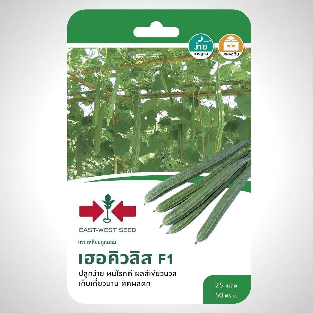 บวบเหลี่ยม เฮอคิวลิส SD/F1-019 ผักซอง ศรแดง F1 บวบ East-West Seed Luffa seeds เมล็ดพันธุ์ผักสวนครัว