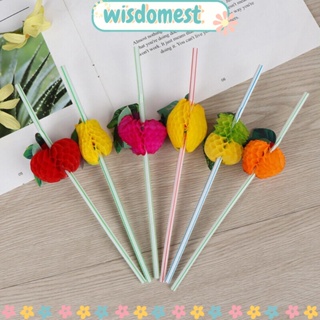 Wisdomest หลอดปิเปต ลายผลไม้ 3d สไตล์ฮาวาย สําหรับค็อกเทล