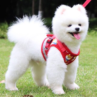 สายจูงสุนัข สายโซ่จูงสุนัข ขนาดเล็ก สไตล์ Bichon Pomeranian สําหรับจูงสุนัข แมวเดิน