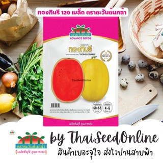 ADVPREMIUM แตงโม ทองกินรี 120 เมล็ด ตราตะวันต้นกล้า