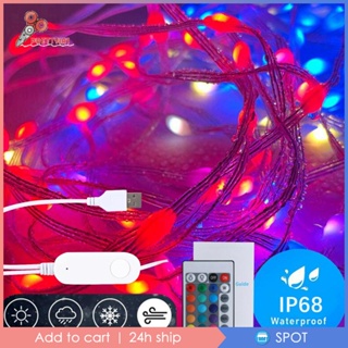 [Prettyia1] สายไฟหิ่งห้อย LED รูปลูกโลก USB สําหรับบาร์ และหลังคา